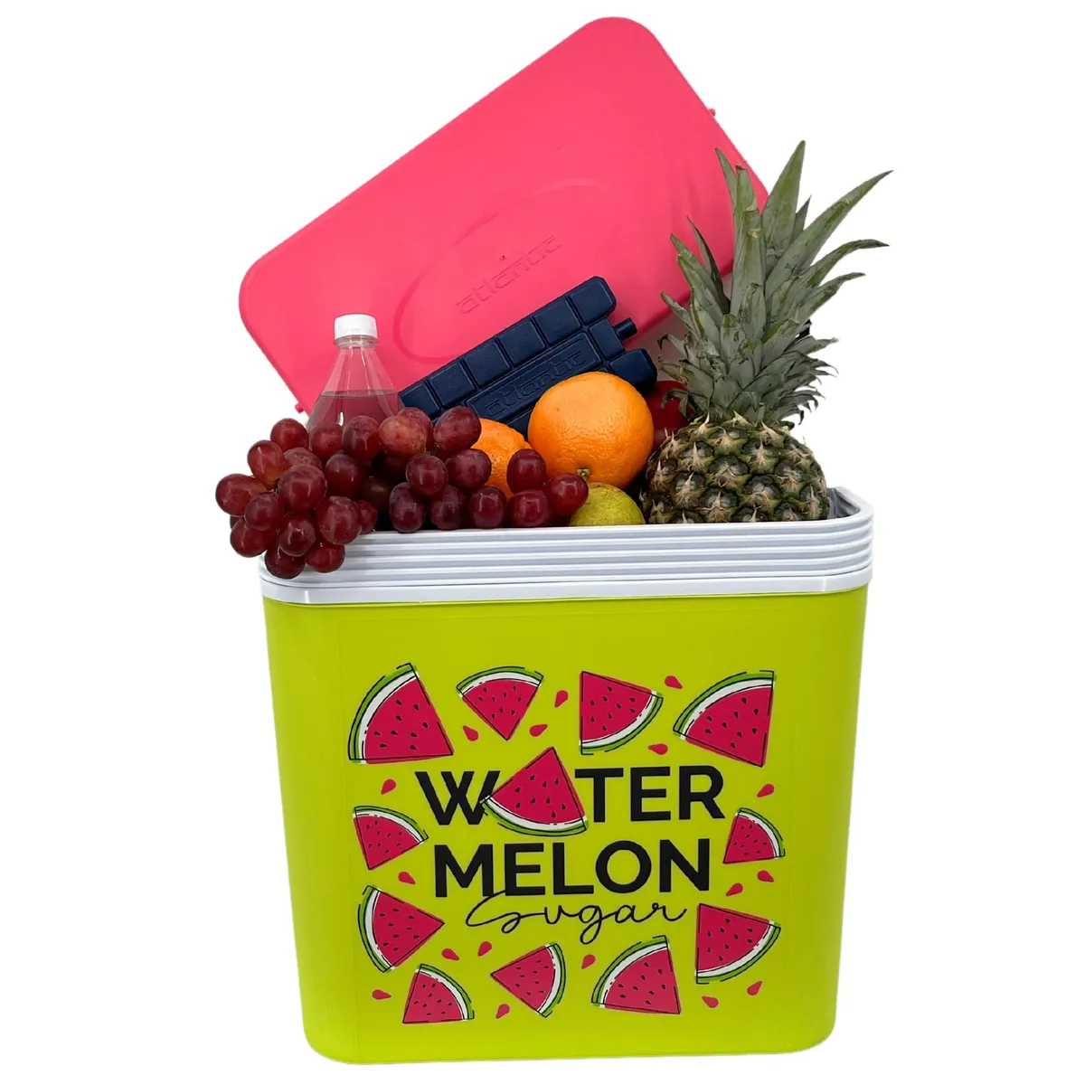 Kühlbox ATLANTIC 30 l Wassermelone Kamai — zdjęcie 8 z 8