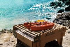 casus-grill-ecological-grill-842352100393_63
